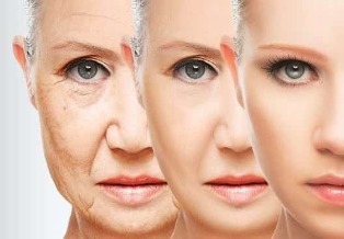 the rejuvenation of the skin of the face